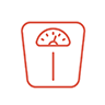 Scale Icon